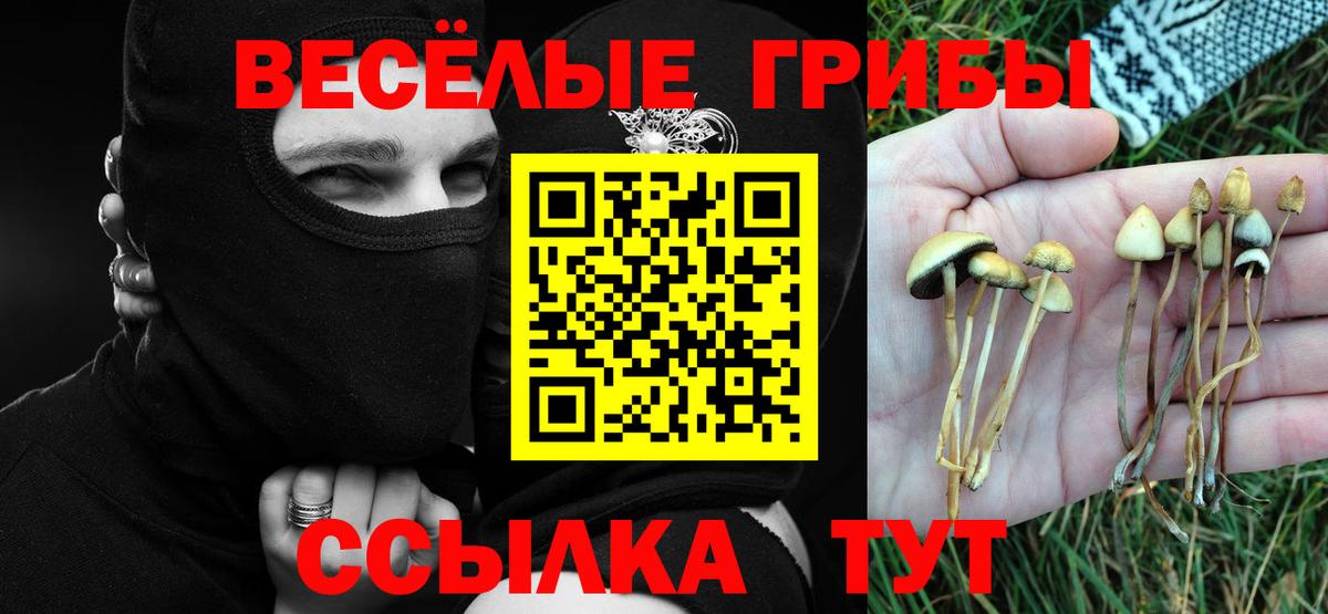 Псилоцибиновые грибы GOLDEN TEACHER  Вход с VPN  закладка  Галлюциногенные грибы ЛСД  Троицк 