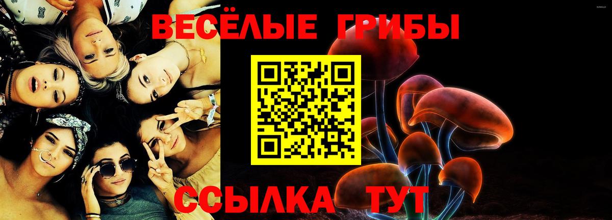 Галлюциногенные грибы Cubensis Троицк